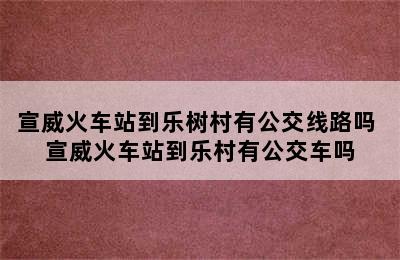 宣威火车站到乐树村有公交线路吗 宣威火车站到乐村有公交车吗